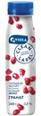 Йогурт питьевой Viola Clean Label Гранат 0.8%, 260г