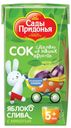 Сок яблочно-сливовый «Сады Придонья», 125 мл