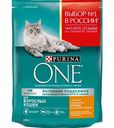 Корм для взрослых кошек Purina One Бифенсис с высоким содержанием курицы и цельными злаками, 200 г