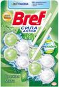 Средство чистящее для унитаза Bref Color Activ Цветочная свежесть 2шт*50Г