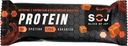 Батончик протеиновый SOJ Protein с соленой карамелью, в молочном шоколаде, 50г