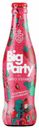 Напиток слабоалкогольный Santo Stefano Big Party малина-крыжовник газированный 5% 0,3 л