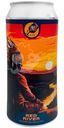 Пиво Stamm Brewing Red River светлое нефильтрованное непастеризованное осветлённое 5.5%, 500мл