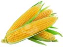 Кукуруза сладкая свежая