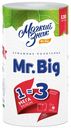 Бумажные полотенца двухслойные Mr. Big, Мягкий знак, 1 рулон