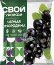 Смородина черная замороженная СВОЙ УРОЖАЙ, 300г