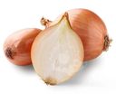 Лук репчатый