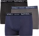 Трусы мужские MINGLI р. XL–4XL в ассортименте, Арт. 22M81
