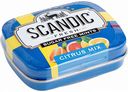 Драже освежающие Scandic Citrus Mix (Цитрусовый микс) без сахара, 14 г
