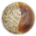 Сельдь Фише Медвежья сила Ассорти филе-кусочки и икра сельди в масле 150г