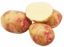 Картофель местный, Юбка-Кофта, фасованный, 1кг