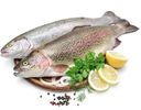 Форель потрошеная, с головой, полуфабрикат из замороженного сырья, 1 кг