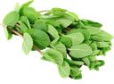 Зелень свежая мята Кубанские поля п/у, 1 шт