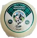 Сыр Прасковья Молочкова мягкий 40% БЗМЖ 300г