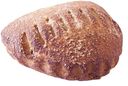 Уголок с яблочной начинкой, Fazer, 90 г