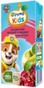 ФрутоKids 0,2л Сок из яблок и вишни осветленный для питания детей раннего возраста