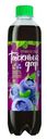 Напиток газированный Таежный дар Черника с таежными травами, 500мл