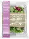 Салатная смесь Салаты с поля рукола-радиччо-фриссе, 75г
