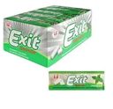 Жевательная резинка Exit со вкусом мяты 13.5г