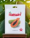 Папайя сушёная, ВЬЕТКОНГ, 70 г