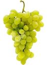 Виноград белый б/к