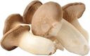 Грибы эринги 200г
