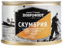 Скумбрия Доброфлот дальневосточная натуральная в масле, 245г