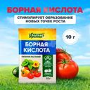 Борная кислота, Секрет урожая, 10 г