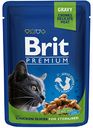 Корм для стерилизованных кошек Brit кусочки с курицей, 100 г