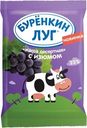 Продукт творожный Буренкин луг Масса десертная с изюмом 23% СЗМЖ 180г
