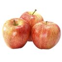 ЯБЛОКИ «Гала», 1кг
