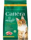 Корм сухой Cattera с курицей полнорационный для взрослых кошек 300г