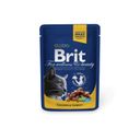 Корм Brit Premium для кошек, с курицей и индейкой, 100 г