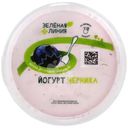 Йогурт черника 2.8% Зелёная Линия, 315г