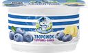 Творожок ПРОСТОКВАШИНО с голубикой, бананом 3,6%, без змж, 110г
