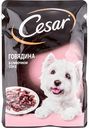 Корм для собак Cesar Говядина в сливочном соусе, 85 г