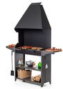 Мангал Gratar Professional Standart Zont PSZ3000