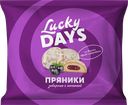 Пряники LUCKY DAYS®, Черная смородина, 300г