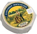 БЗМЖ Сыр Нормандия Камамбер с бел плесенью 50% 125г  Россия