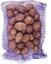 Картофель белый сетка, 5кг