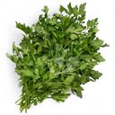 Петрушка Global Village 100г