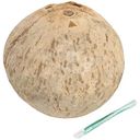 Кокос Артфрут свежий, 1шт