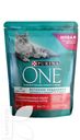 Корм PURINA ONE сухой лосось и пшеница 750г