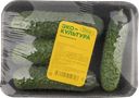 Овощ бугорчатый Огурец короткоплодный Эко Культура лоток, 450 г