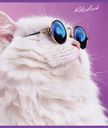 Тетрадь 48 листов клетка "Кот Базил" в ассортименте 1шт