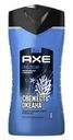Гель для душа Axe Cооl ocean Морские минералы с дикой мятой 2в1 250мл