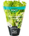 Салат листовой в горшочке Рост, 1шт.