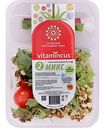 Салатный ростковый микс Vitamincus №2, 100 г