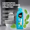 Санитарно-гигиеническое средство "WC gel", Sanitary formula, 1 кг, в ассортименте