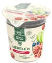 Меренга Вкус & Польза яблочная с ягодами без добавления сахара 35г